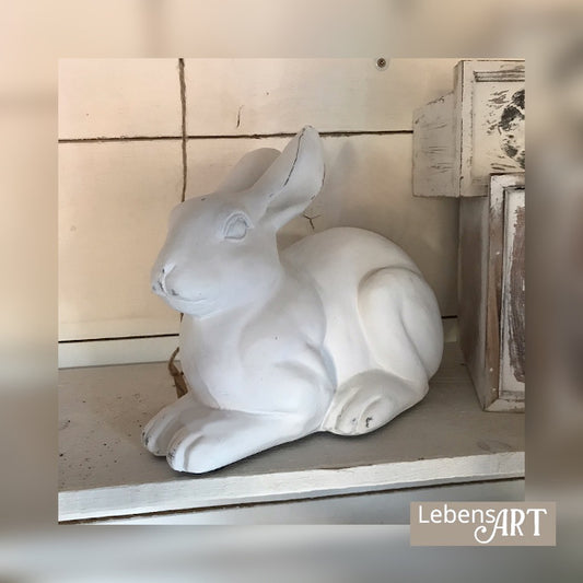 Hase Langohr hockend weiß